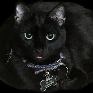 Meet your Posher, Darren